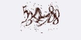 CAPTCHA: введите символы, которые вы видите на картинке