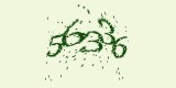 CAPTCHA: введите символы, которые вы видите на картинке