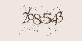 CAPTCHA: введите символы, которые вы видите на картинке