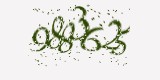 CAPTCHA: введите символы, которые вы видите на картинке