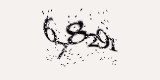 CAPTCHA: введите символы, которые вы видите на картинке