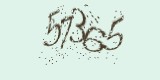 CAPTCHA: введите символы, которые вы видите на картинке