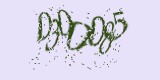 CAPTCHA: введите символы, которые вы видите на картинке