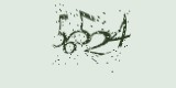 CAPTCHA: введите символы, которые вы видите на картинке