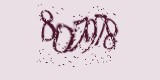 CAPTCHA: введите символы, которые вы видите на картинке