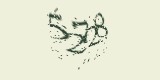 CAPTCHA: введите символы, которые вы видите на картинке