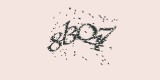 CAPTCHA: введите символы, которые вы видите на картинке