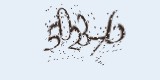 CAPTCHA: введите символы, которые вы видите на картинке