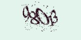 CAPTCHA: введите символы, которые вы видите на картинке