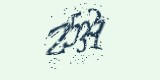 CAPTCHA: введите символы, которые вы видите на картинке