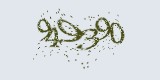 CAPTCHA: введите символы, которые вы видите на картинке