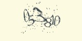 CAPTCHA: введите символы, которые вы видите на картинке