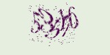 CAPTCHA: введите символы, которые вы видите на картинке