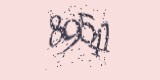 CAPTCHA: введите символы, которые вы видите на картинке