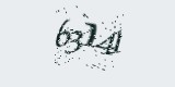 CAPTCHA: введите символы, которые вы видите на картинке