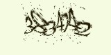 CAPTCHA: введите символы, которые вы видите на картинке
