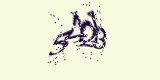 CAPTCHA: введите символы, которые вы видите на картинке
