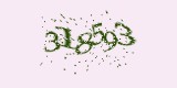 CAPTCHA: введите символы, которые вы видите на картинке