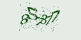 CAPTCHA: введите символы, которые вы видите на картинке