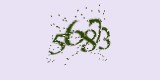 CAPTCHA: введите символы, которые вы видите на картинке
