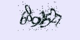 CAPTCHA: введите символы, которые вы видите на картинке