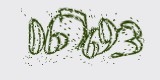 CAPTCHA: введите символы, которые вы видите на картинке