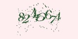 CAPTCHA: введите символы, которые вы видите на картинке