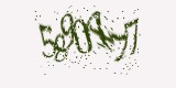 CAPTCHA: введите символы, которые вы видите на картинке