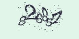 CAPTCHA: введите символы, которые вы видите на картинке