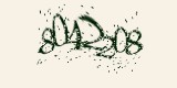 CAPTCHA: введите символы, которые вы видите на картинке