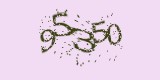 CAPTCHA: введите символы, которые вы видите на картинке