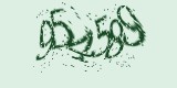 CAPTCHA: введите символы, которые вы видите на картинке