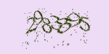 CAPTCHA: введите символы, которые вы видите на картинке
