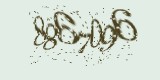 CAPTCHA: введите символы, которые вы видите на картинке