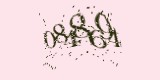 CAPTCHA: введите символы, которые вы видите на картинке