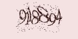 CAPTCHA: введите символы, которые вы видите на картинке