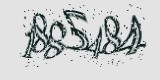 CAPTCHA: введите символы, которые вы видите на картинке