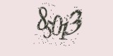 CAPTCHA: введите символы, которые вы видите на картинке