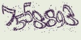 CAPTCHA: введите символы, которые вы видите на картинке
