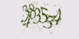 CAPTCHA: введите символы, которые вы видите на картинке