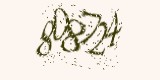 CAPTCHA: введите символы, которые вы видите на картинке