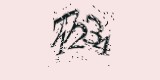 CAPTCHA: введите символы, которые вы видите на картинке
