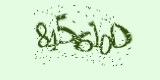CAPTCHA: введите символы, которые вы видите на картинке