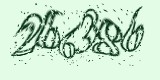CAPTCHA: введите символы, которые вы видите на картинке
