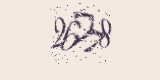 CAPTCHA: введите символы, которые вы видите на картинке