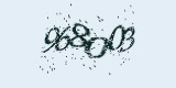 CAPTCHA: введите символы, которые вы видите на картинке