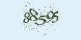 CAPTCHA: введите символы, которые вы видите на картинке