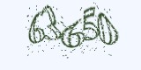 CAPTCHA: введите символы, которые вы видите на картинке