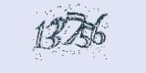 CAPTCHA: введите символы, которые вы видите на картинке