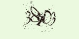 CAPTCHA: введите символы, которые вы видите на картинке